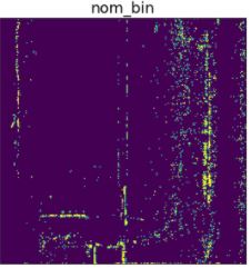 Binary Image (nominal and anomalous)