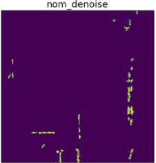 Denoised Image (nominal and anomalous)