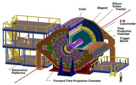 Detector description